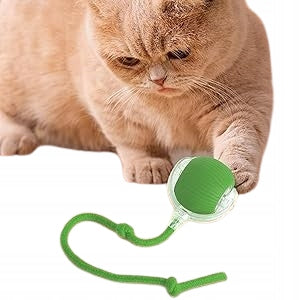 Interaktywna zabawka dla kota