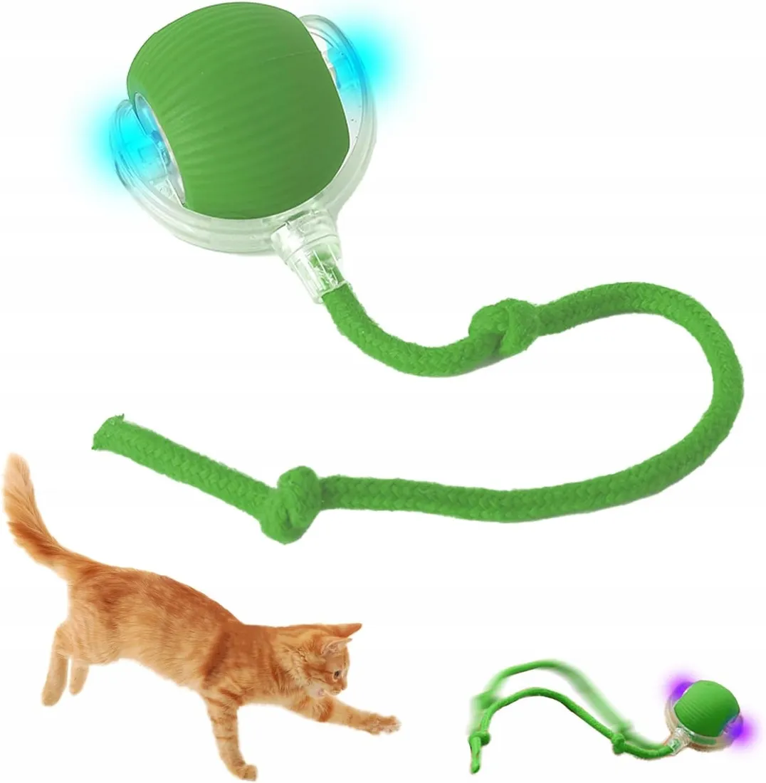 Interaktywna zabawka dla kota